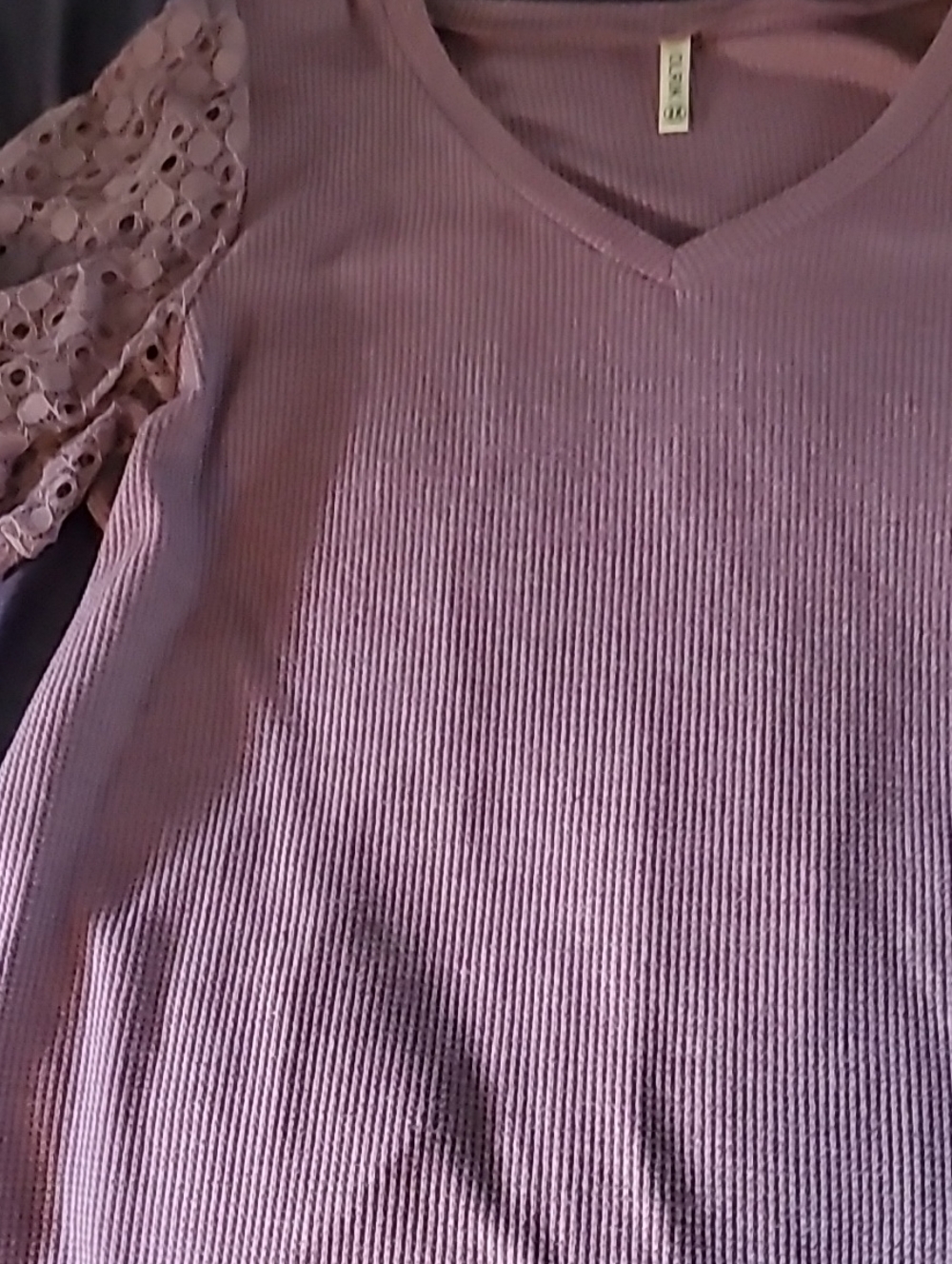 Mauve Lace-Sleeve Lightweigh V-Neck Top 2X